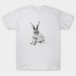 Rabbit 25 T-Shirt